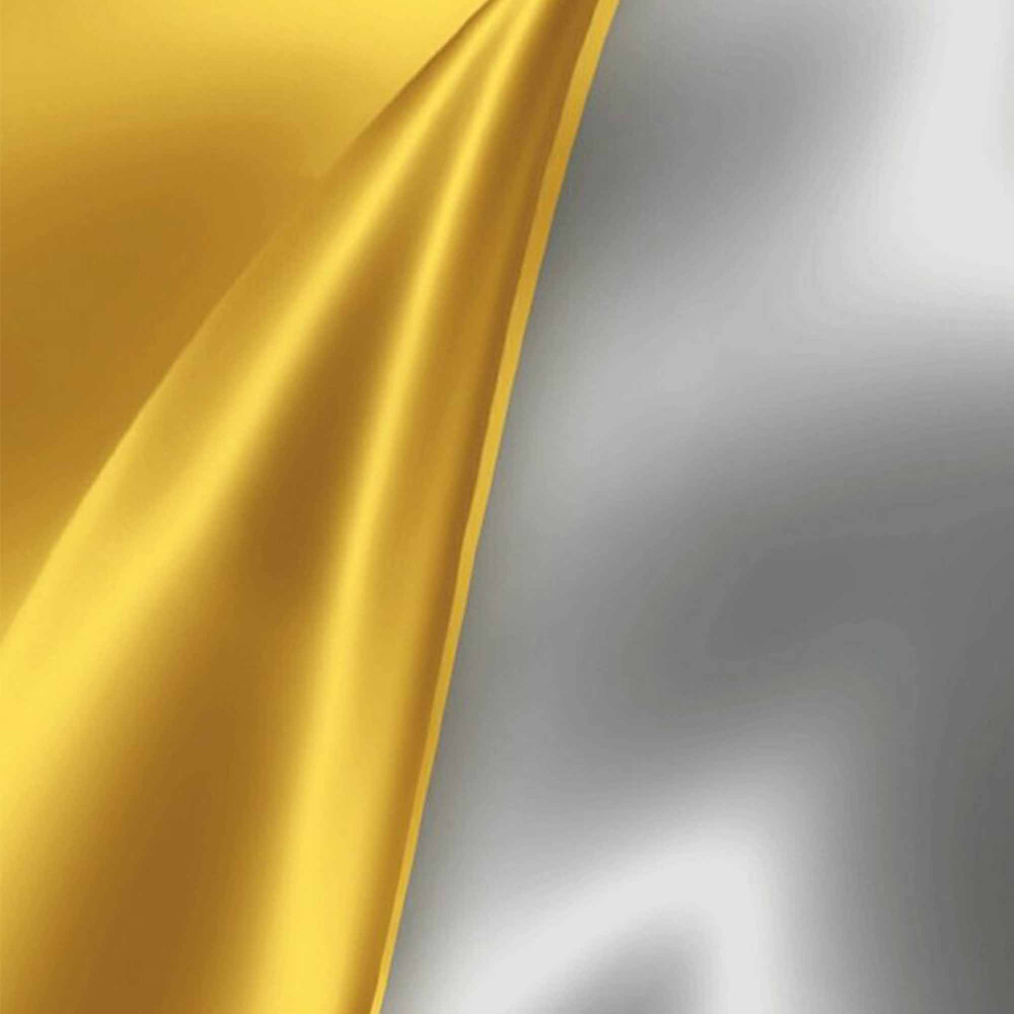 لونين فضي ذهبي